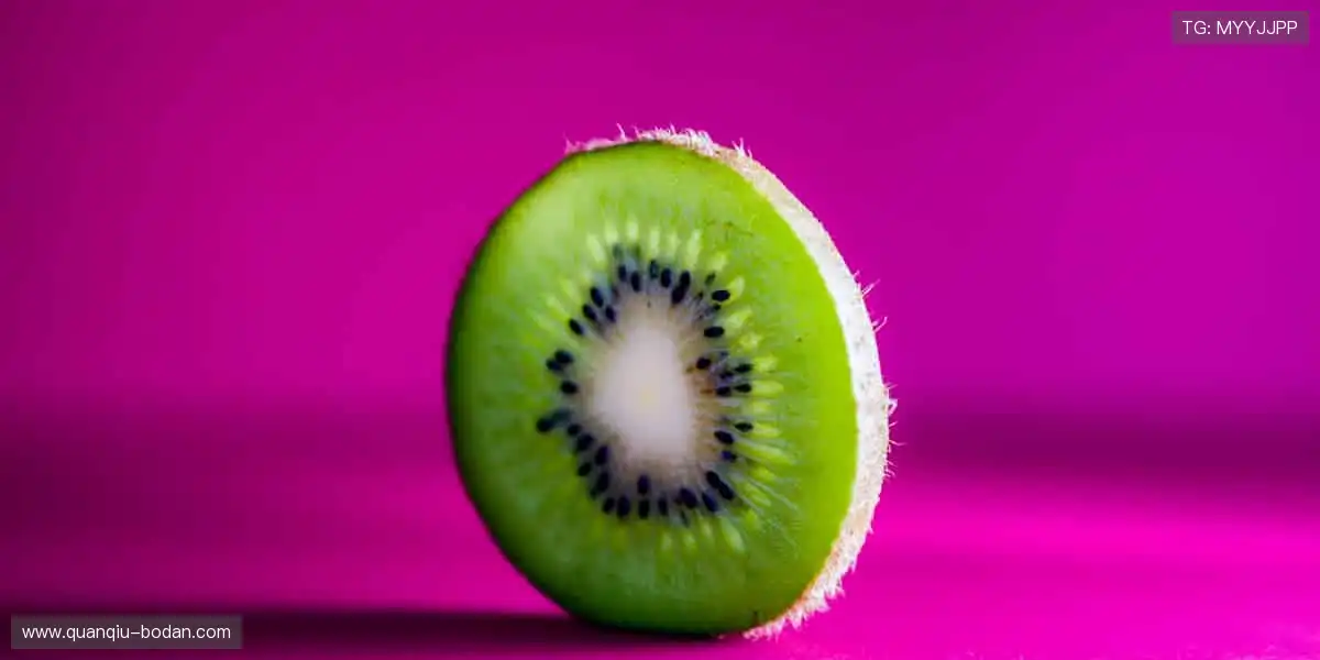 🏀 每一场对决，都是心跳的证明！